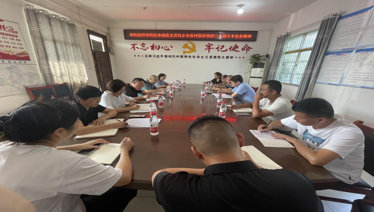 市人社局党组成员、阜阳技师学院党委书记张扬赴阜南县王店孜乡五岳村宣讲党的二十届三中全会精神