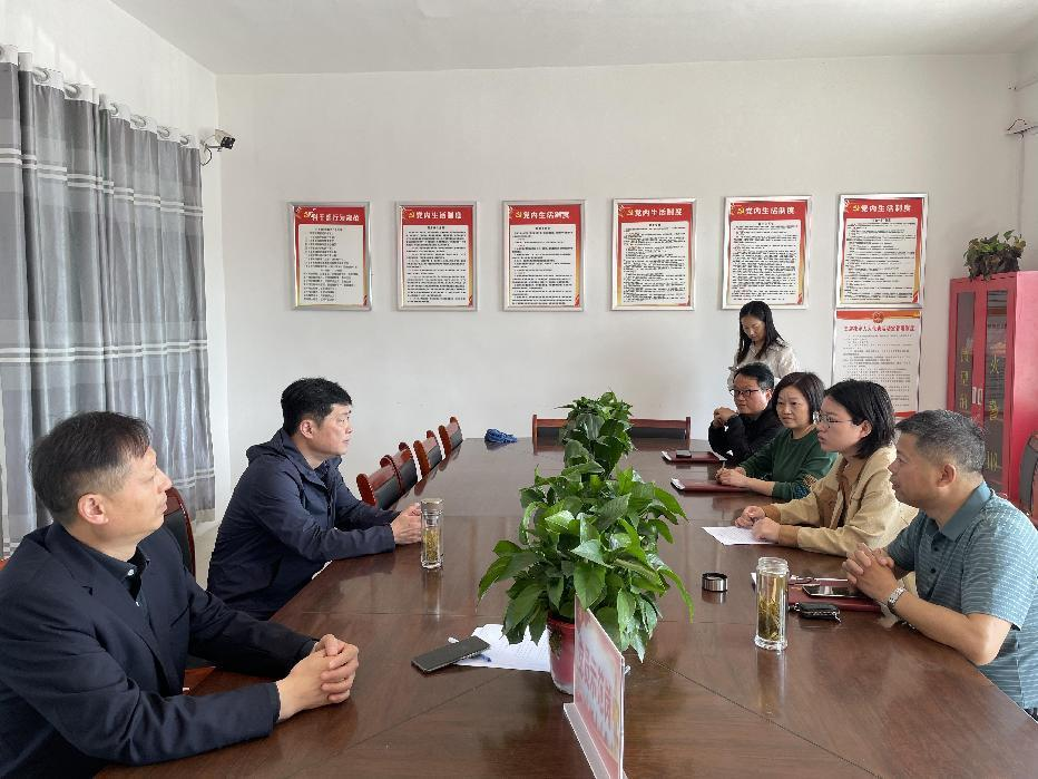 市人社局党组成员、阜阳技师学院党委书记张扬一行到五岳村、新村、杨湾村走访调研